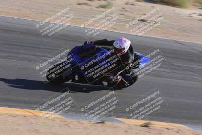 media/Nov-11-2023-SoCal Trackdays (Sat) [[efd63766ff]]/Turn 10 Inside (120pm)/